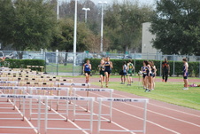Enlarge photo 276