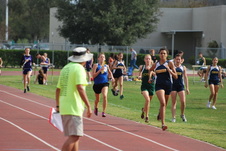 Enlarge photo 278