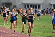 Enlarge photo 282