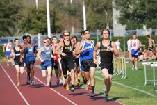 Enlarge photo 285