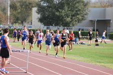 Enlarge photo 351