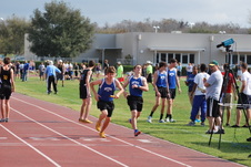 Enlarge photo 393