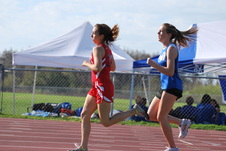 Enlarge photo 419