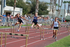 Enlarge photo 487