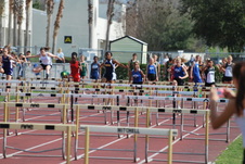 Enlarge photo 499