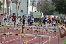 Enlarge photo 503