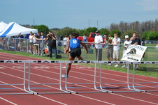 Enlarge photo 511