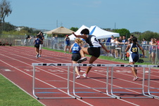 Enlarge photo 513