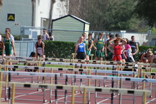 Enlarge photo 515