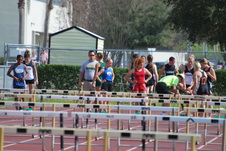 Enlarge photo 516