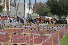 Enlarge photo 529