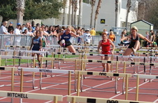 Enlarge photo 531