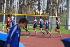 Enlarge photo 599