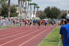 Enlarge photo 647