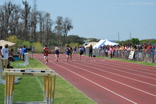Enlarge photo 779
