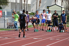 Enlarge photo 782