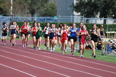 Enlarge photo 1122