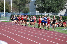Enlarge photo 1123