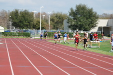 Enlarge photo 1193