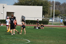 Enlarge photo 1230