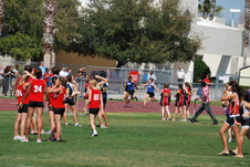 Enlarge photo 1233