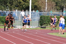 Enlarge photo 1257