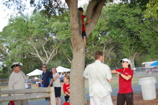 Enlarge photo 162