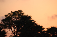 Enlarge photo 177