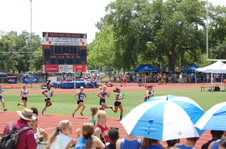 Enlarge photo 37