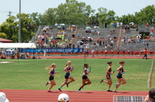 Enlarge photo 45