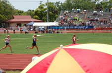 Enlarge photo 121