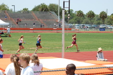 Enlarge photo 135
