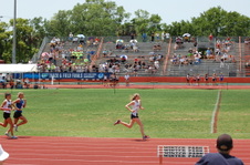 Enlarge photo 172