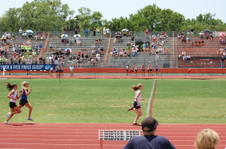Enlarge photo 174