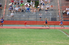 Enlarge photo 260