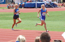 Enlarge photo 272