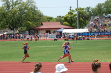 Enlarge photo 275