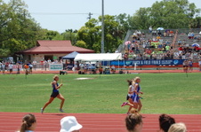 Enlarge photo 278