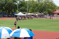 Enlarge photo 390