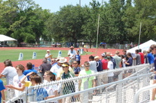 Enlarge photo 502