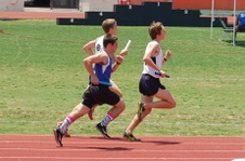 Enlarge photo 716