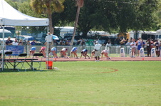 Enlarge photo 1046