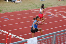 Enlarge photo 1463