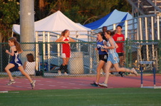 Enlarge photo 266