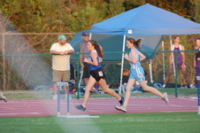 Enlarge photo 271