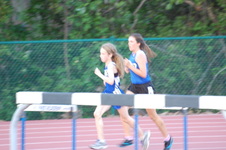 Enlarge photo 274