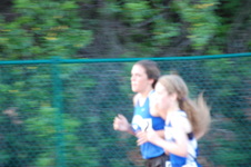Enlarge photo 279