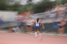 Enlarge photo 333