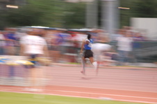 Enlarge photo 335
