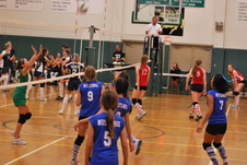 Enlarge photo 45